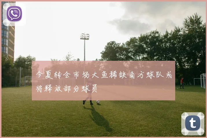 今夏转会市场大鱼稀缺南方球队或将释放部分球员