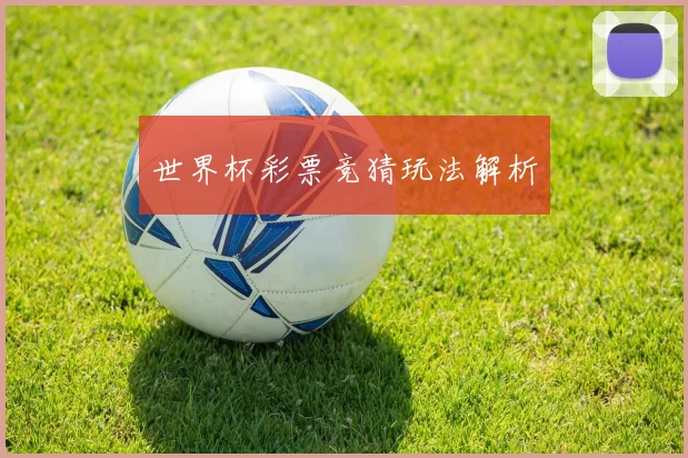 世界杯彩票竞猜玩法解析