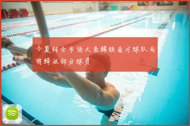 今夏转会市场大鱼稀缺南方球队或将释放部分球员