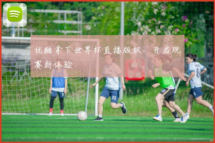 优酷拿下世界杯直播版权，开启观赛新体验