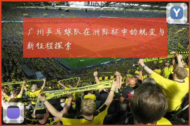 广州乒乓球队在洲际杯中的蜕变与新征程探索