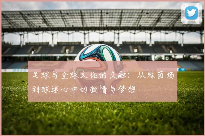 足球与全球文化的交融：从绿茵场到球迷心中的激情与梦想