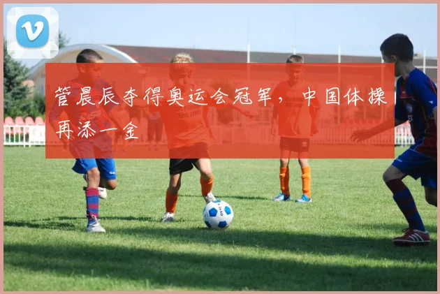 管晨辰夺得奥运会冠军，中国体操再添一金