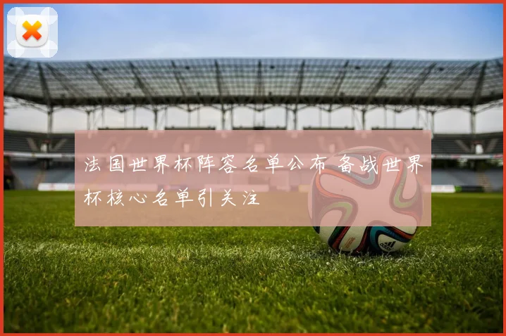 法国世界杯阵容名单公布 备战世界杯核心名单引关注