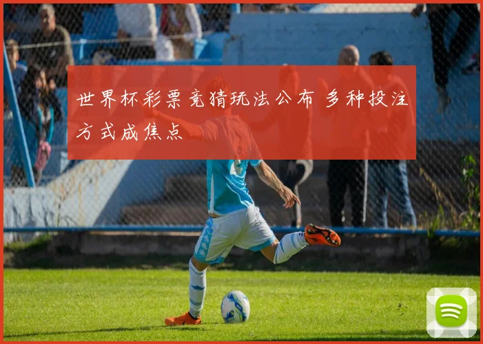 世界杯彩票竞猜玩法公布 多种投注方式成焦点