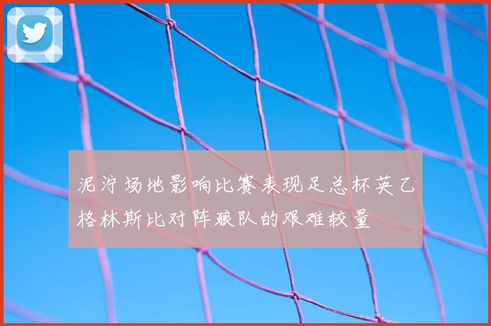 泥泞场地影响比赛表现足总杯英乙格林斯比对阵狼队的艰难较量