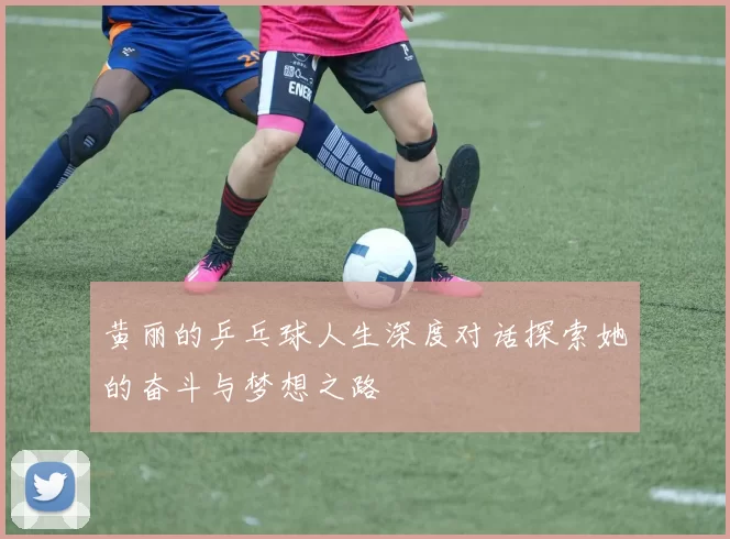黄丽的乒乓球人生深度对话探索她的奋斗与梦想之路